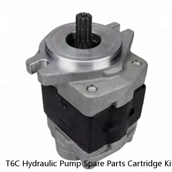 T6C Hydraulic Pump Spare Parts Cartridge Kit