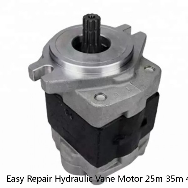 Easy Repair Hydraulic Vane Motor 25m 35m 45m For Elevator Scraper Drives